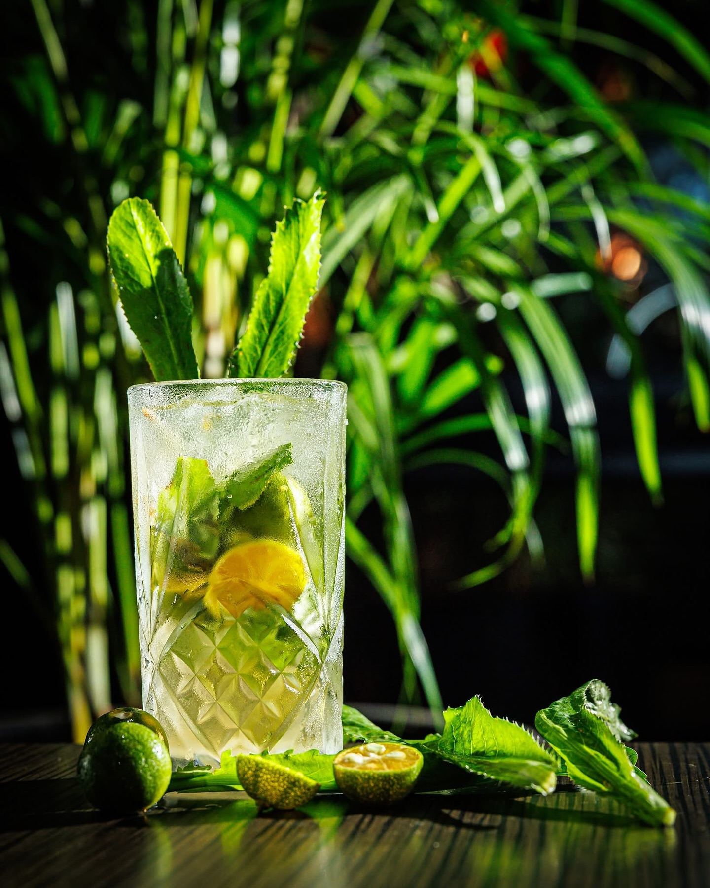 A cumquat and herb cocktail in a cut-glass tumbler among palms